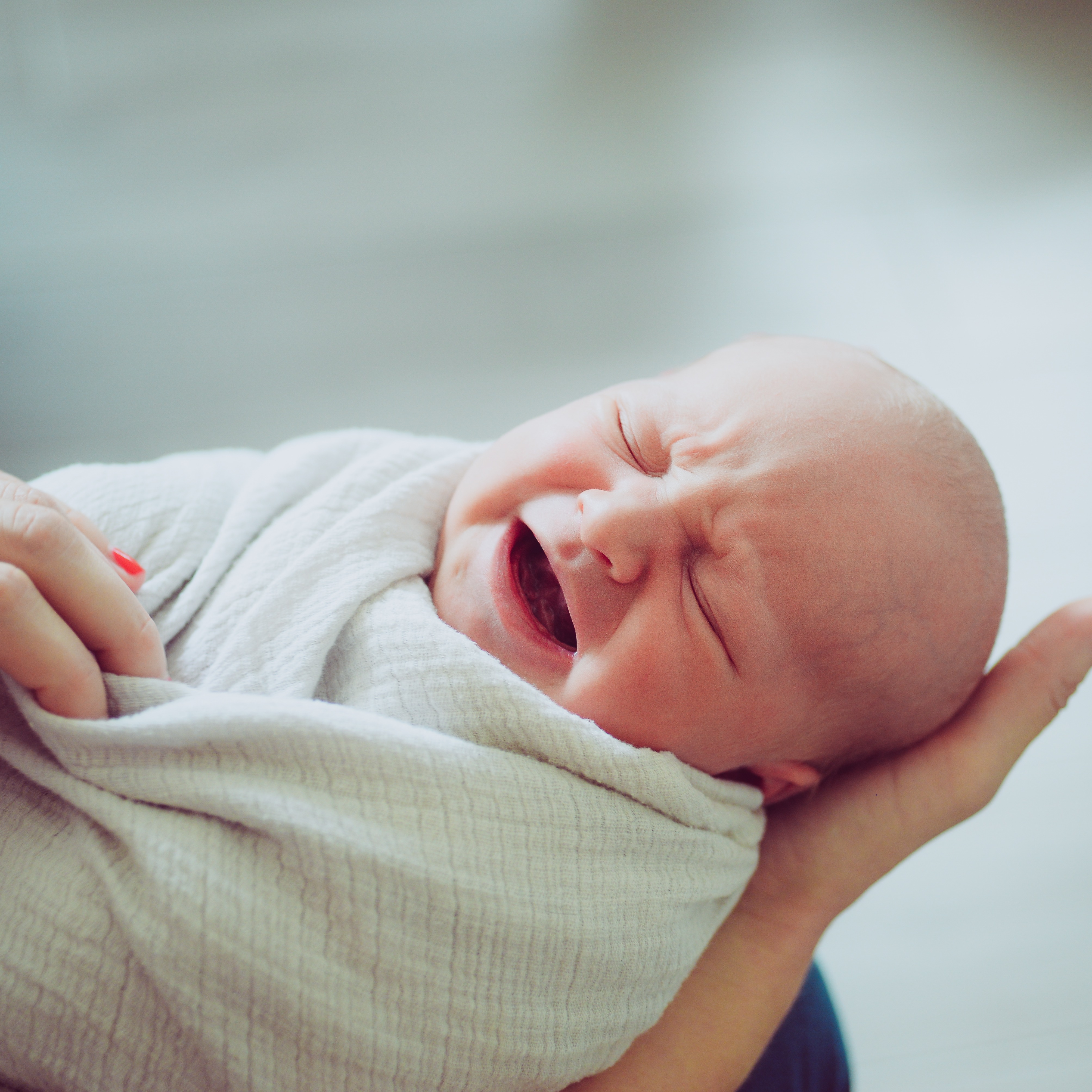 Baby swaddled and crying