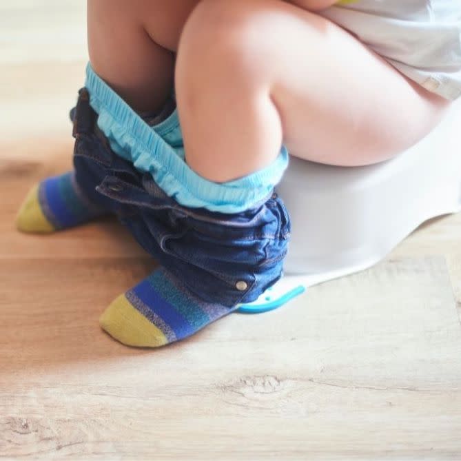 Potty Training Under 2: Everything You Need to Know - Because I Said So,  Baby