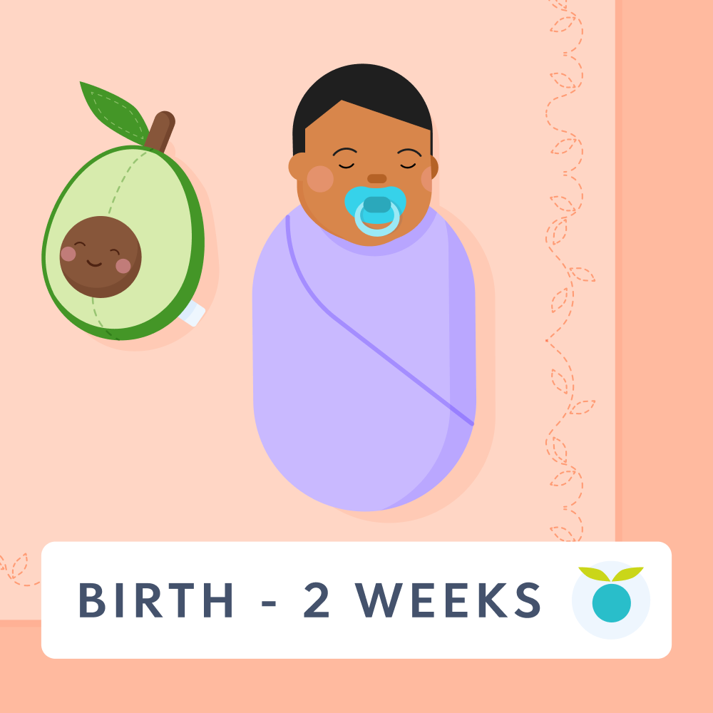 Newborn feeding schedule, 0 - 2 weeks