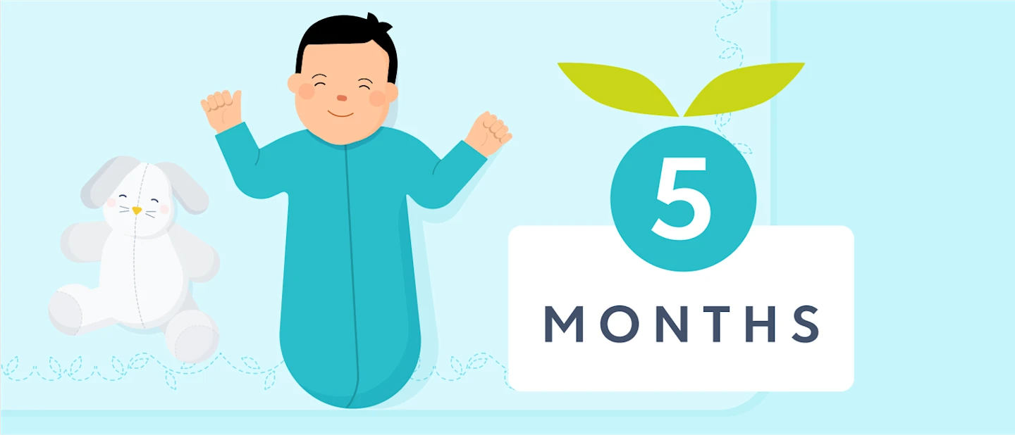 5 month sleep | Huckleberry