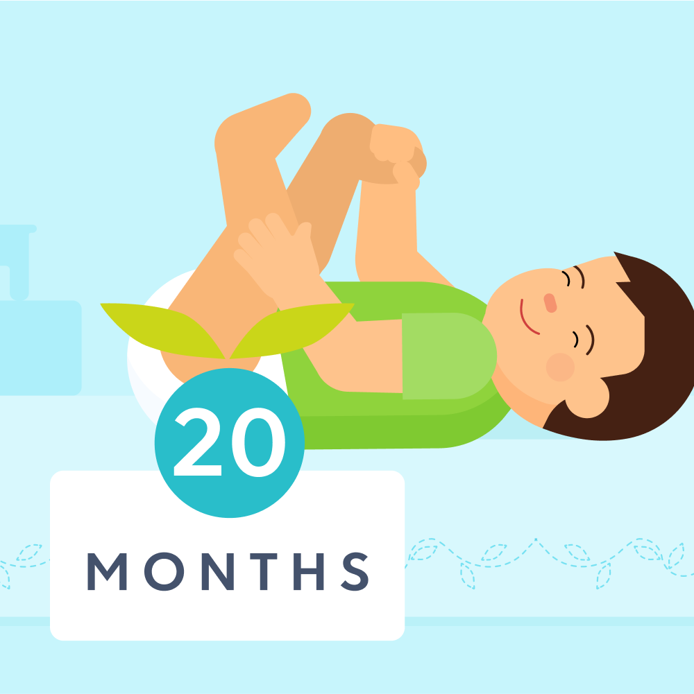 20 month sleep schedule