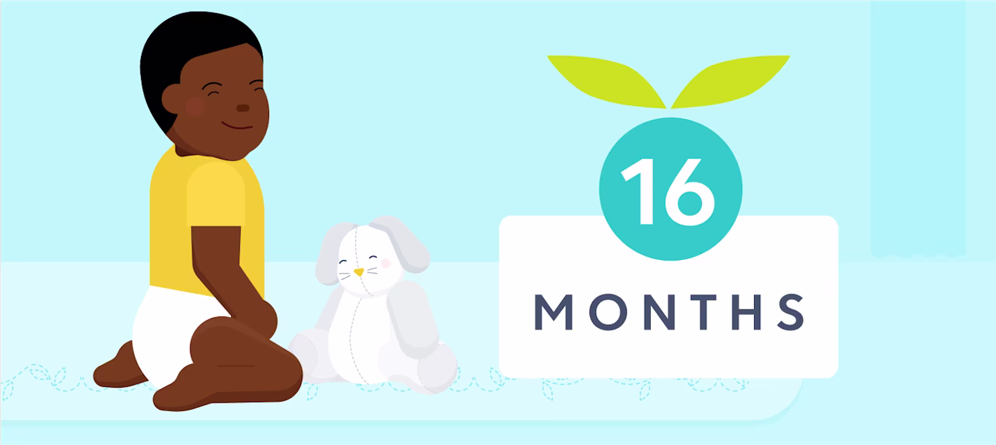 16 month sleep | Huckleberry