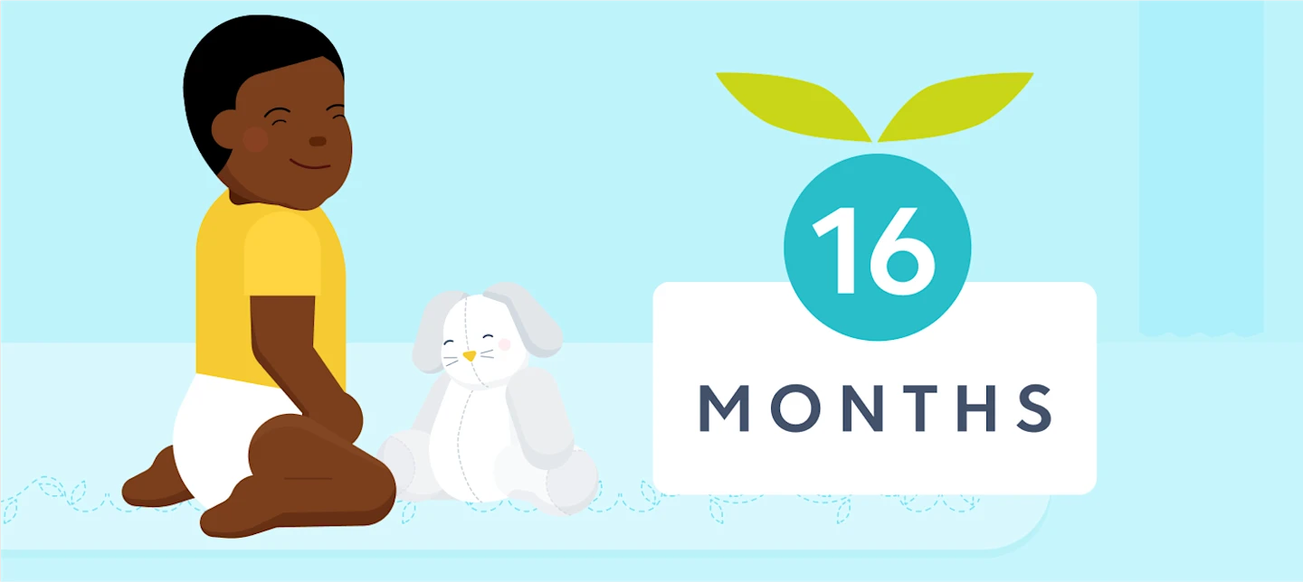 16 month sleep | Huckleberry
