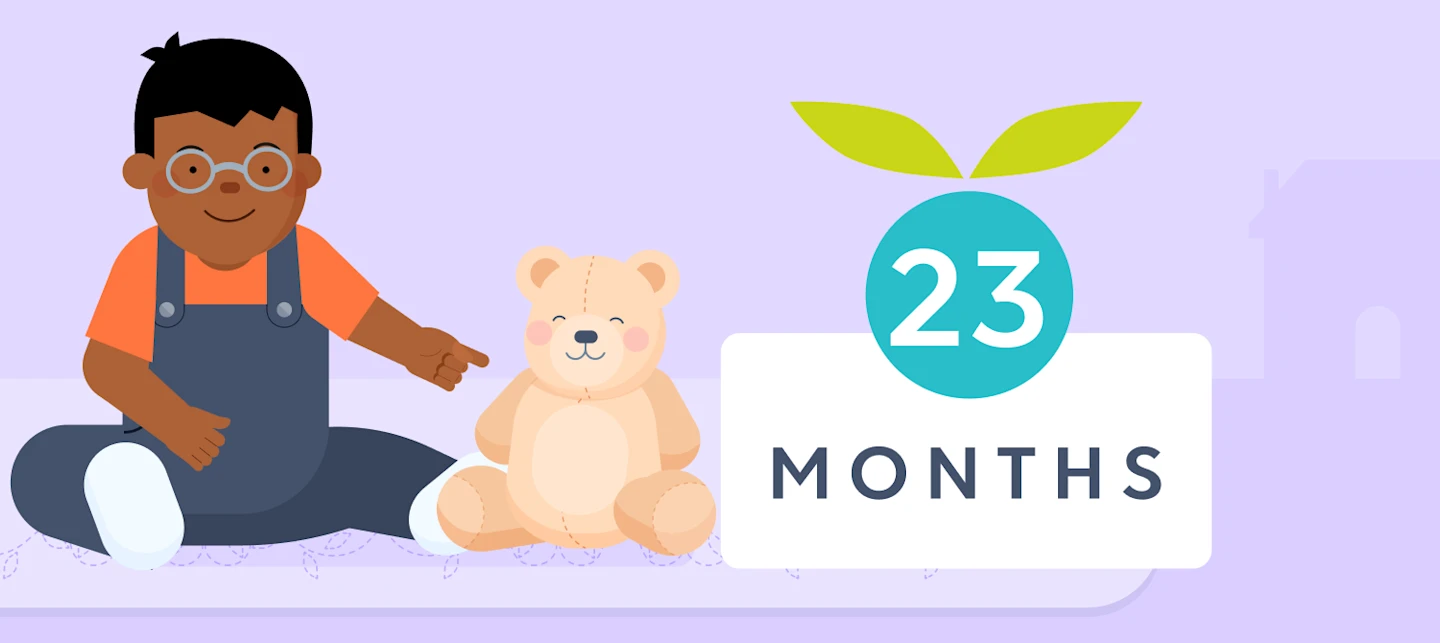 23 month milestones illustrated image | Huckleberry