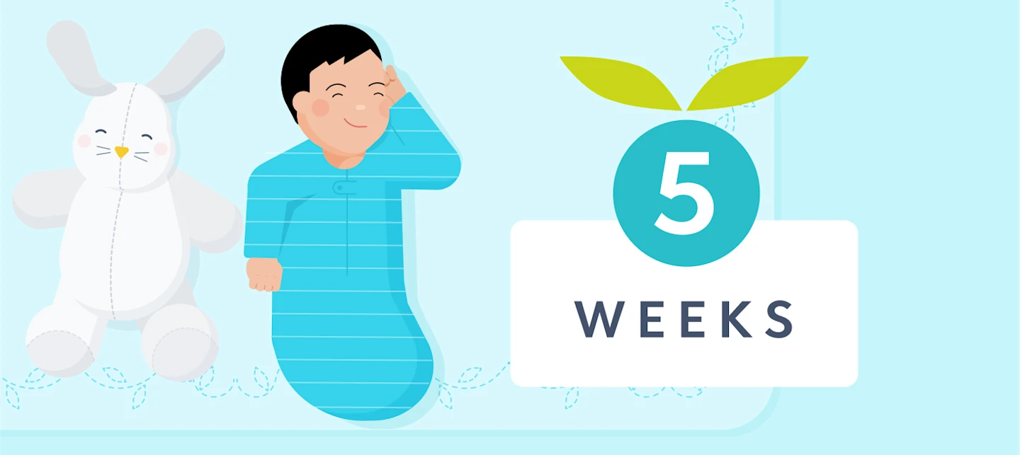 5 week sleep | Huckleberry