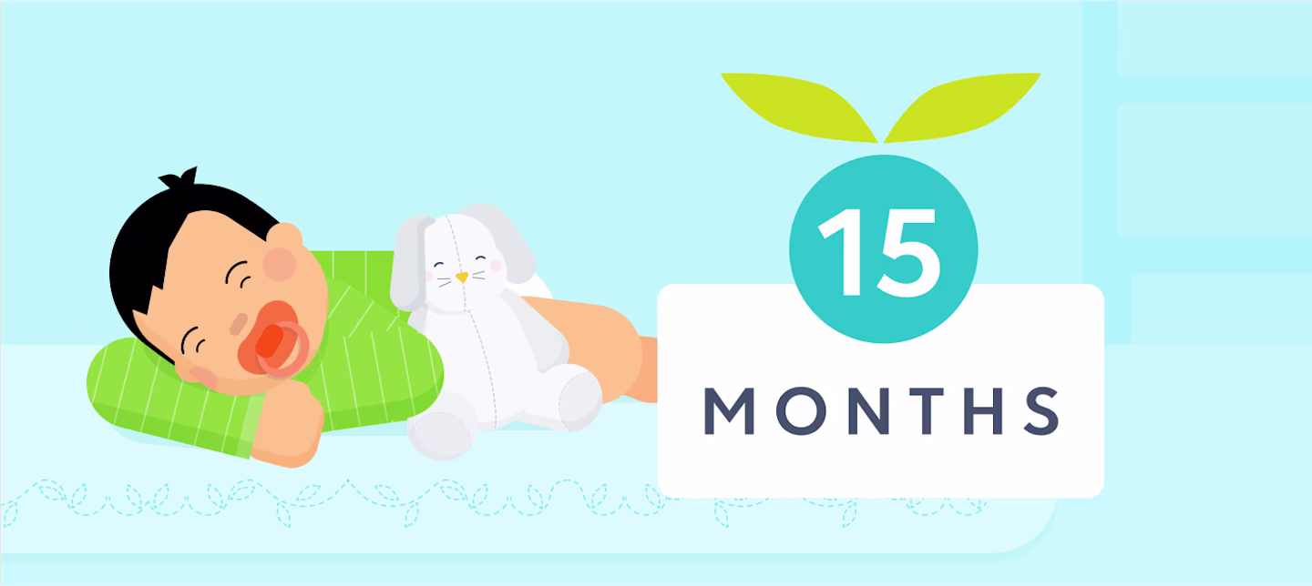 15 month sleep | Huckleberry