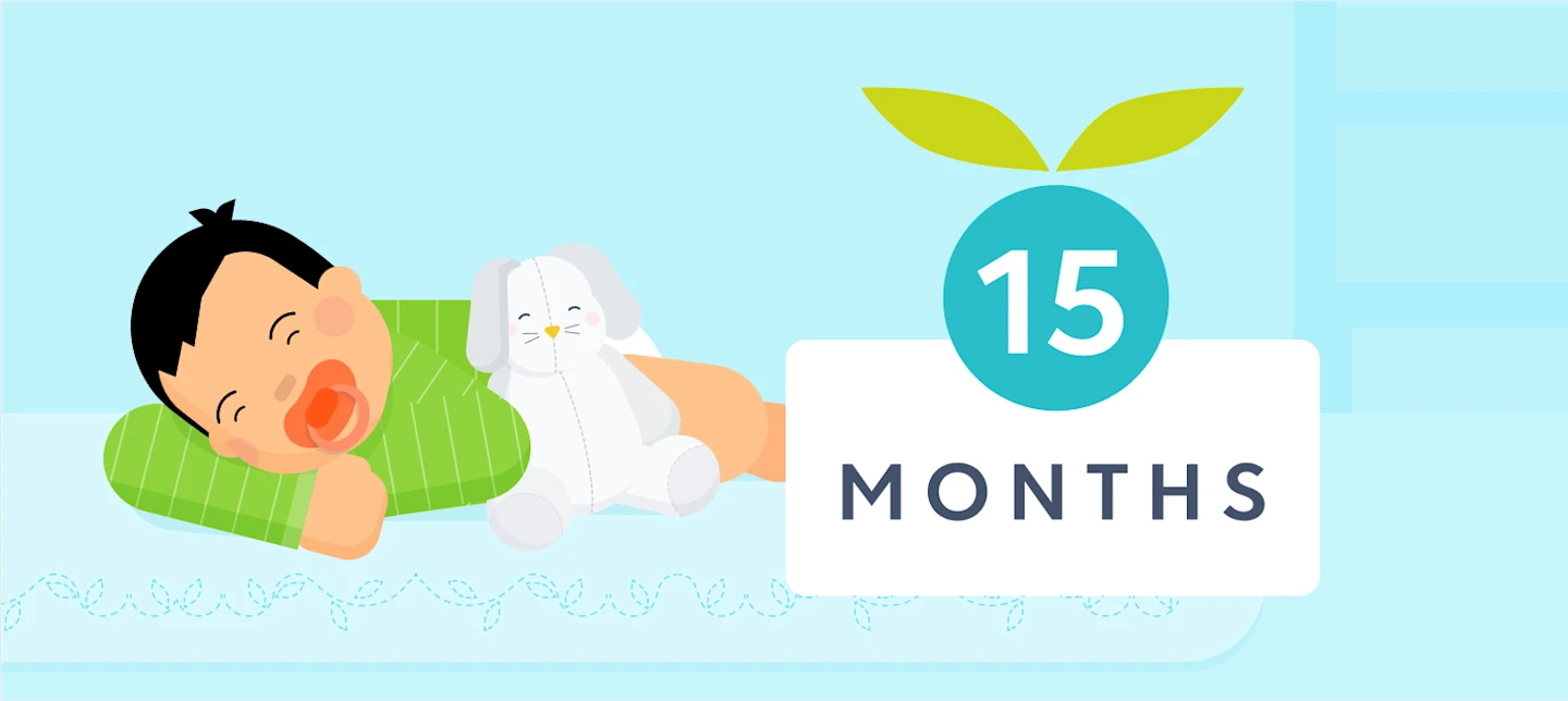 15 month sleep | Huckleberry