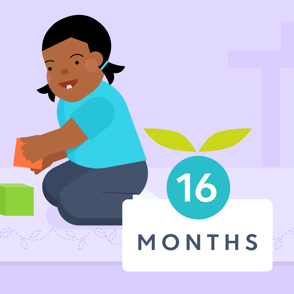 16 month toddler milestones illustrated image