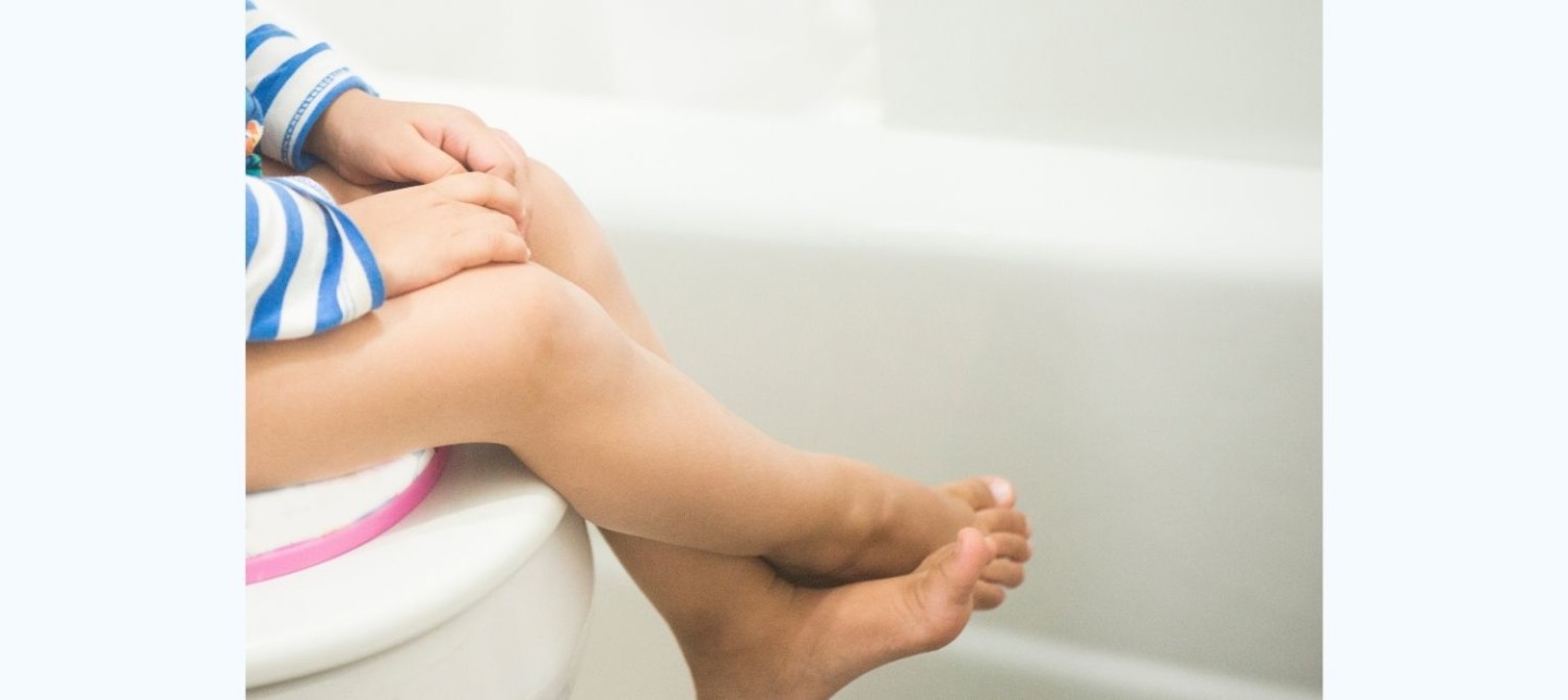Potty training guide