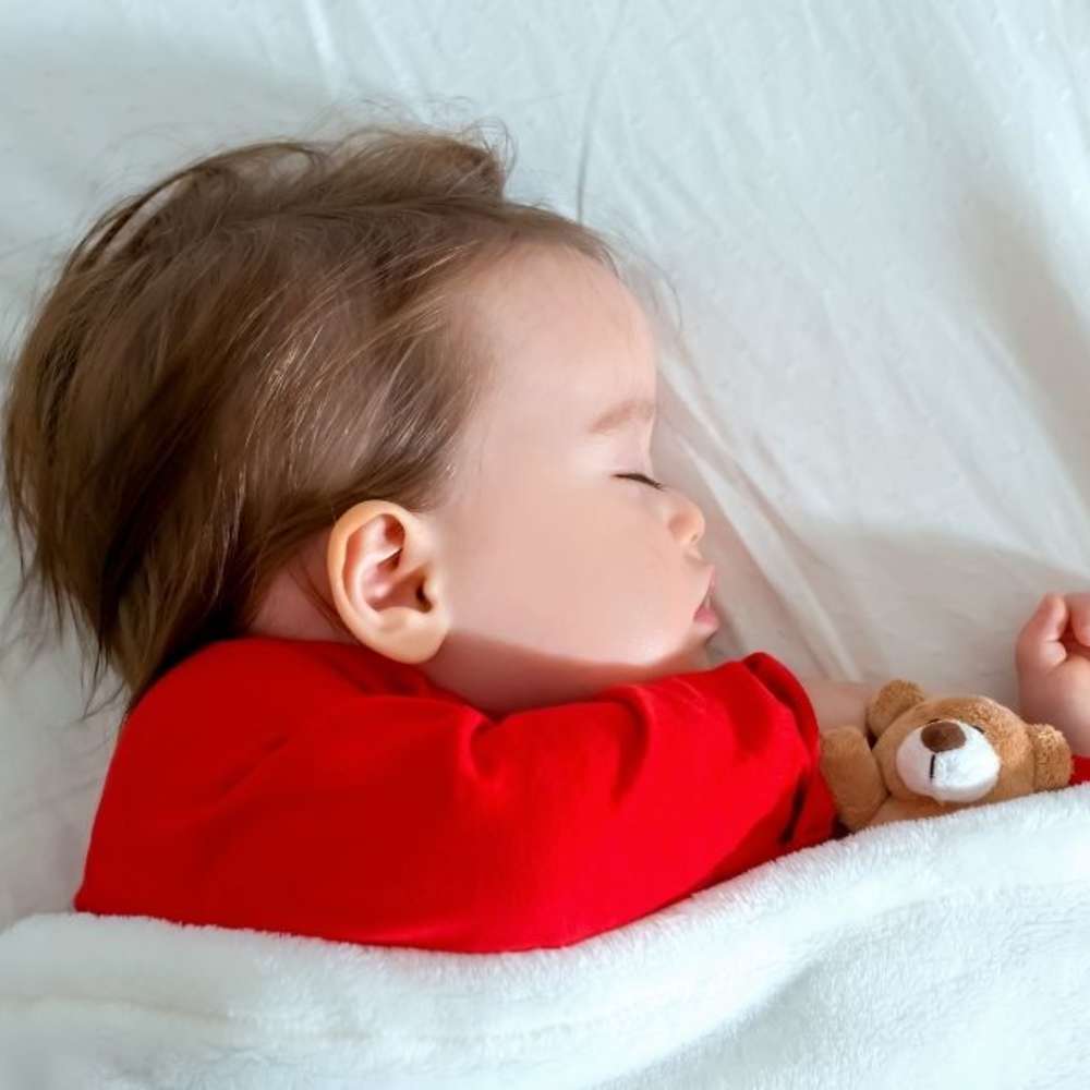 Toddler napping under covers with stuffed animal