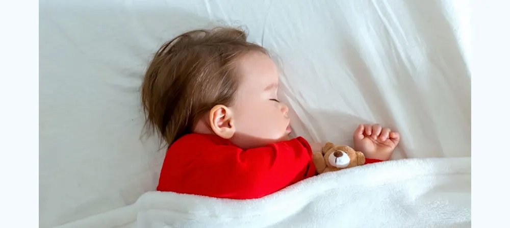 Toddler napping under covers with stuffed animal