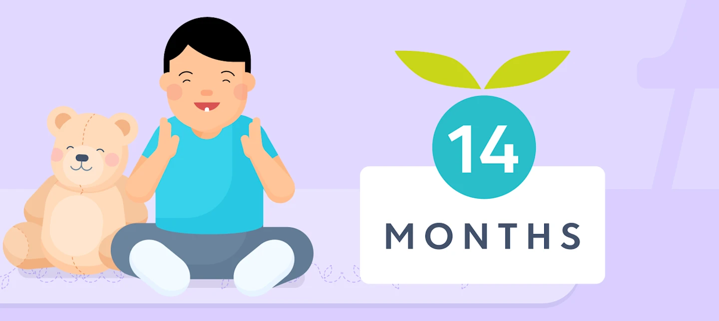 14 month milestones illustrated image | Huckleberry