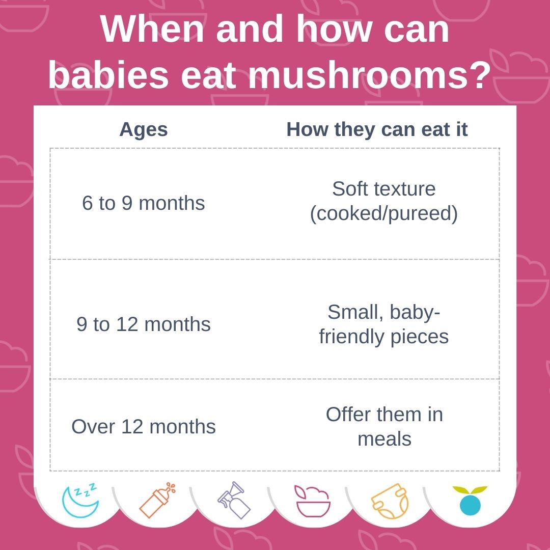 A graphic chart of when and how can babies eat mushrooms.