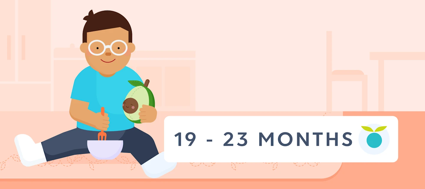 19 - 23 month olds feeding schedule | Huckleberry