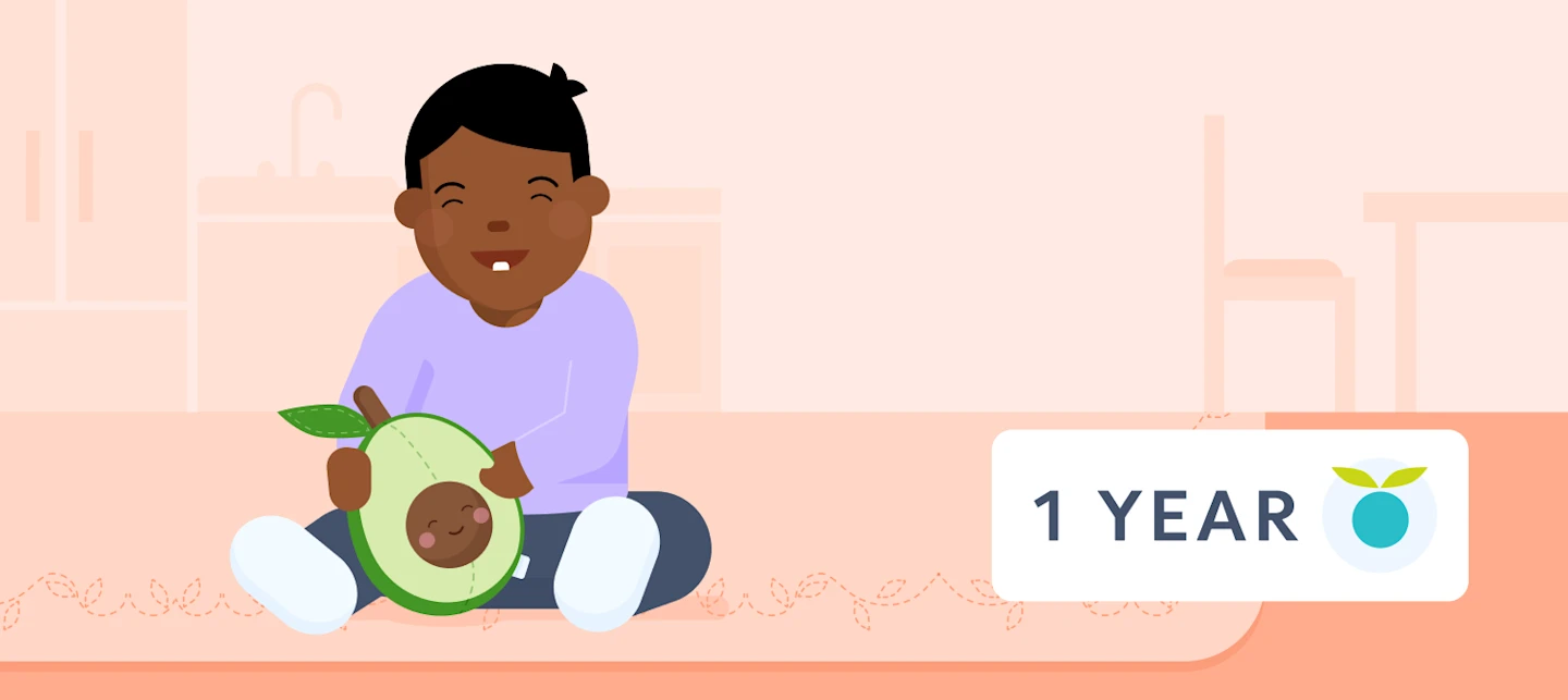 1 year/12 months feeding schedule | Huckleberry