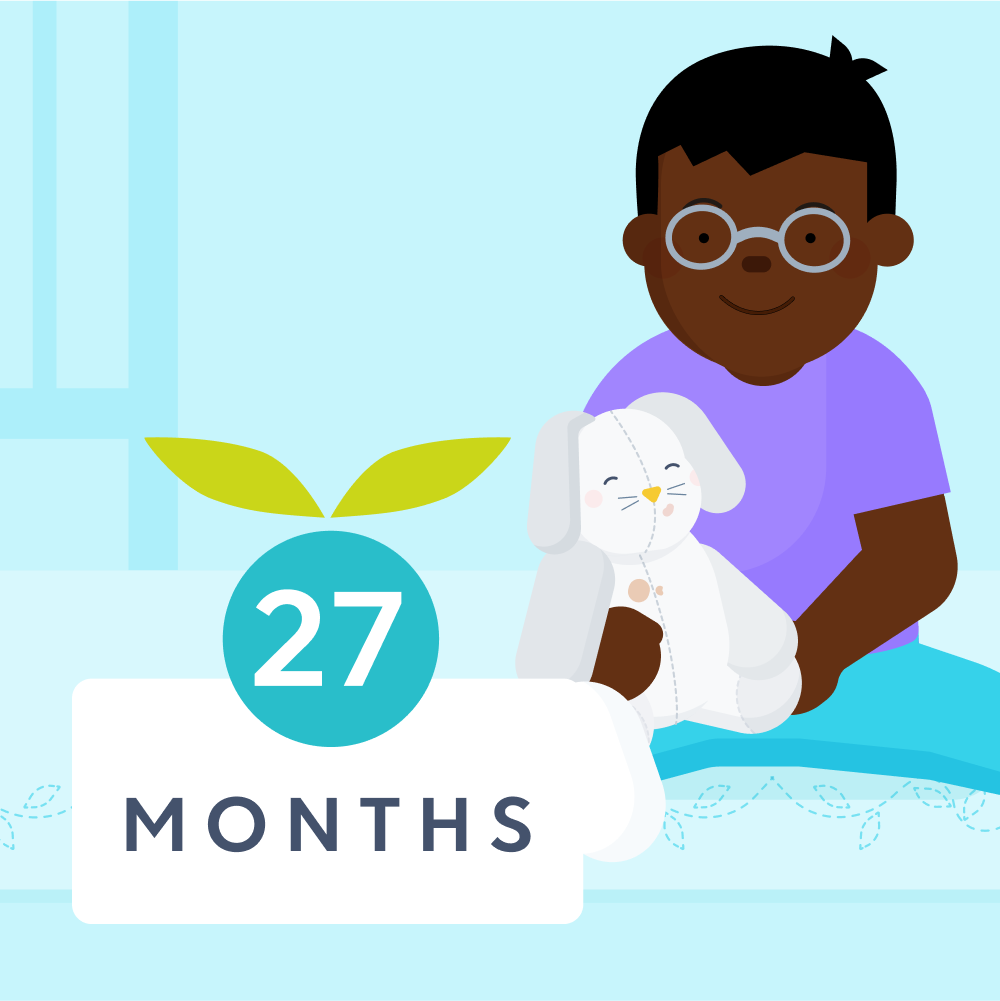 27 month sleep schedule