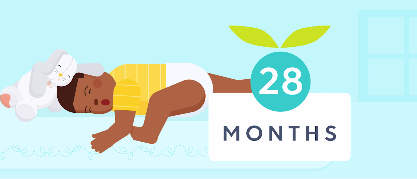 28 month sleep | Huckleberry