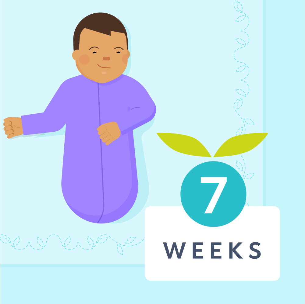 7 week sleep