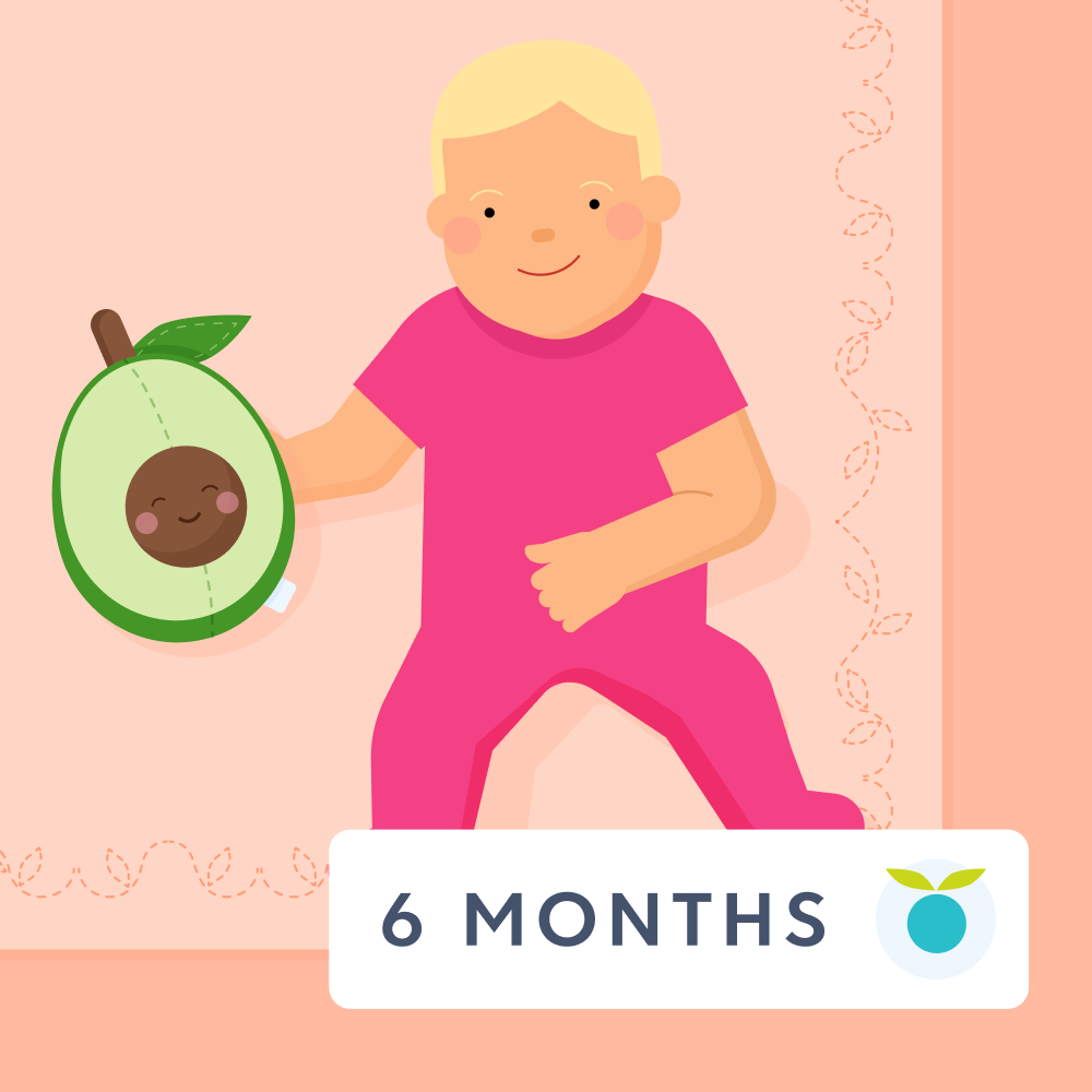 6 month feeding schedule