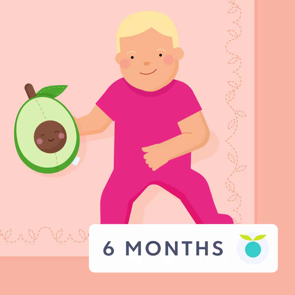 6 month feeding schedule