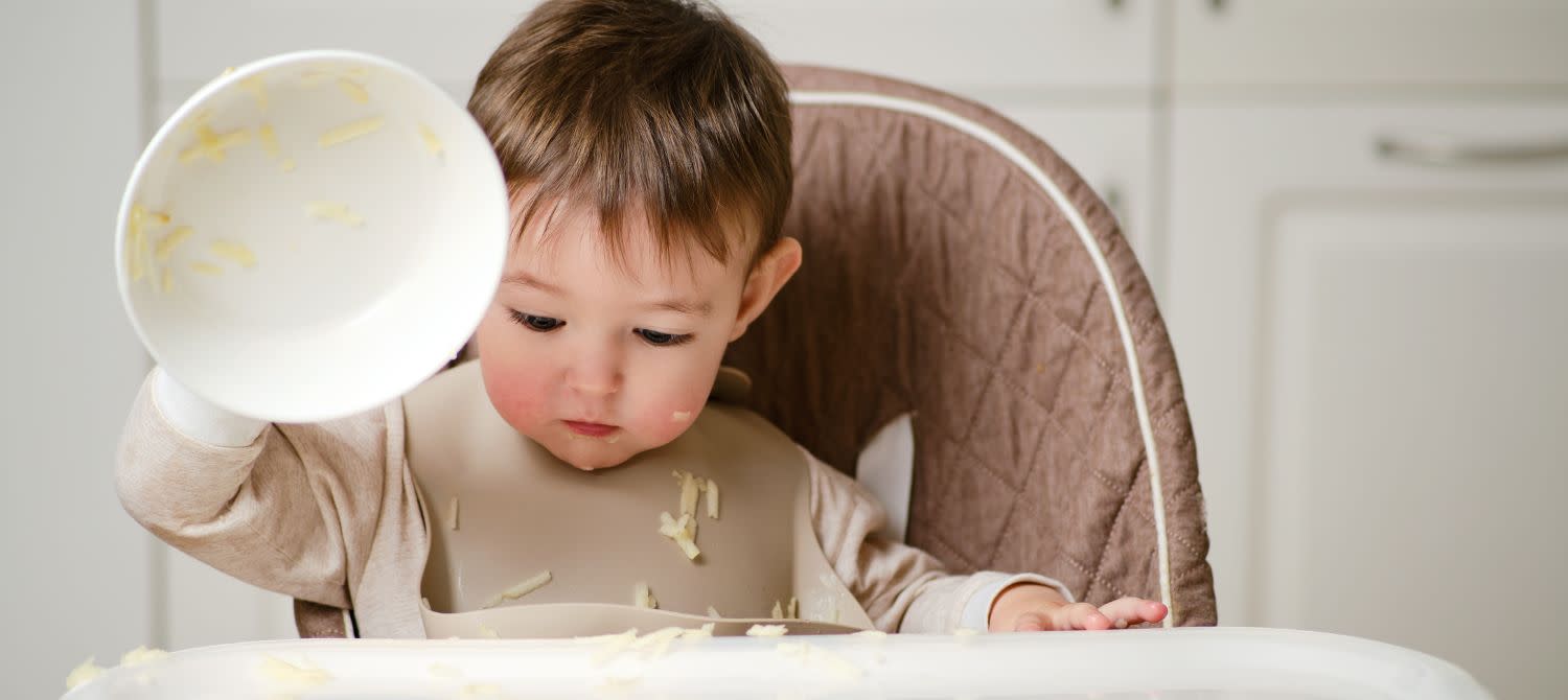 How To Stop Toddler From Throwing Food?  