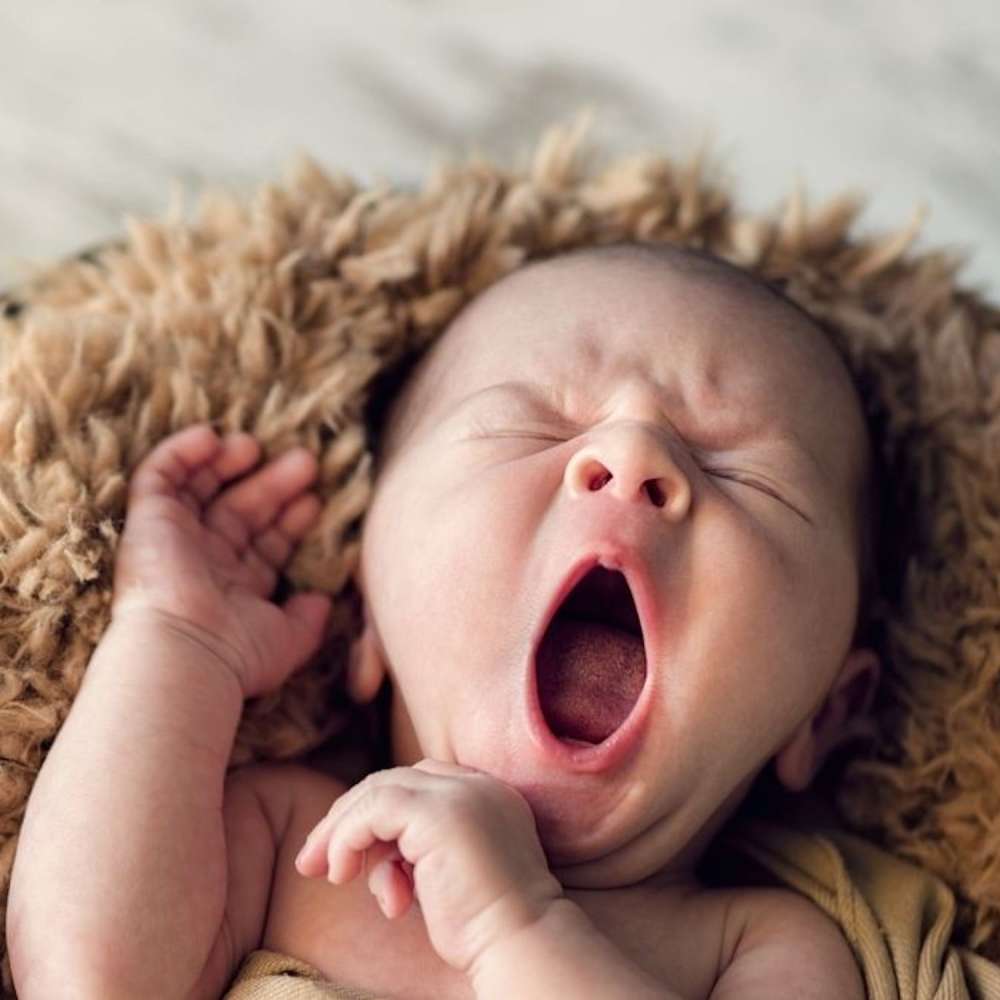 Yawning newborn on furry brown blanket