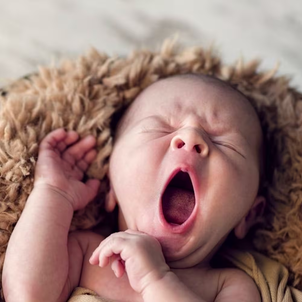 Yawning newborn on furry brown blanket