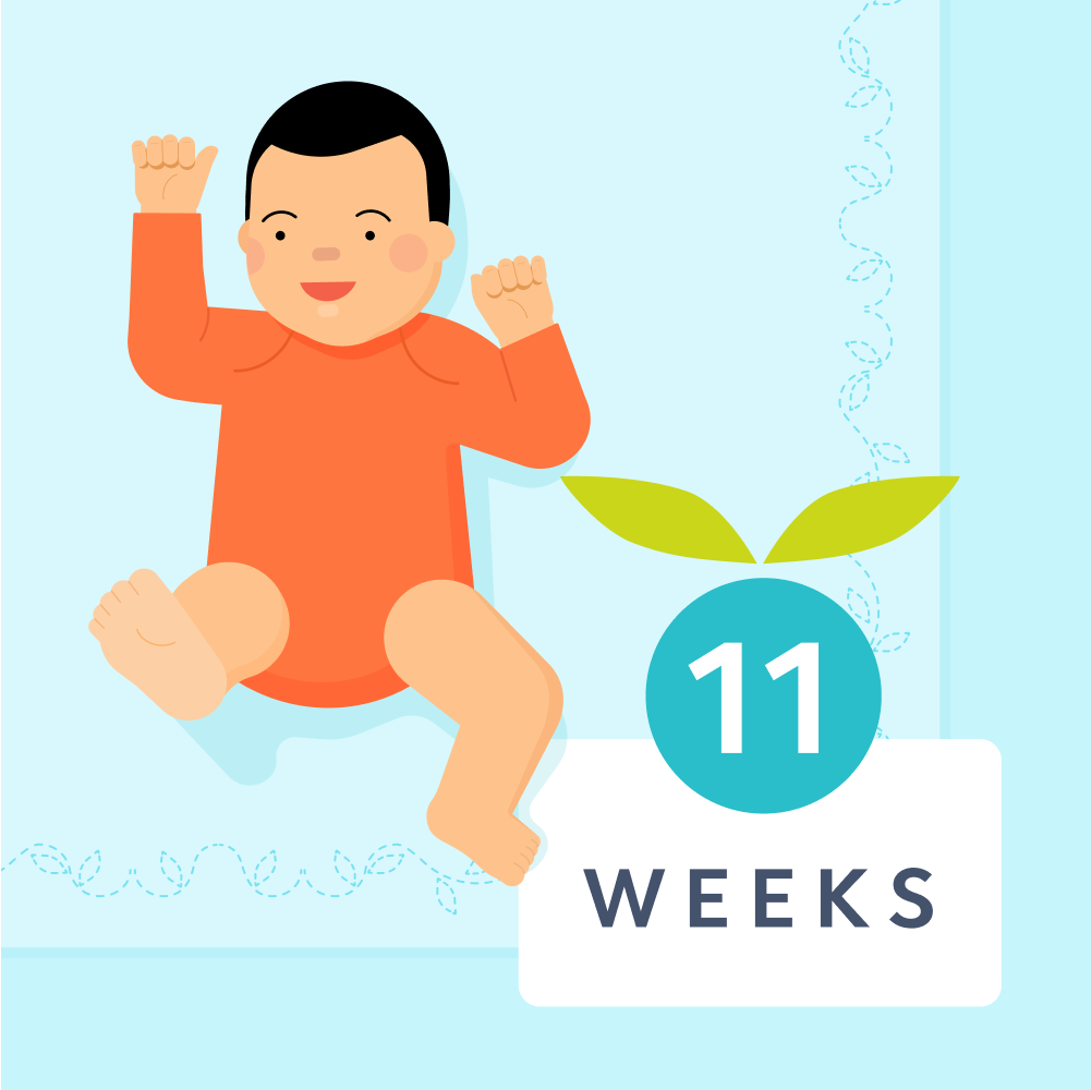11 week sleep