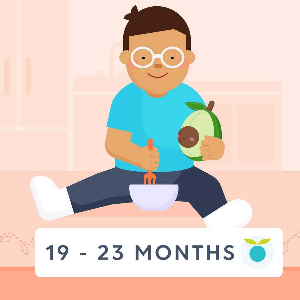 19 - 23 month olds feeding schedule