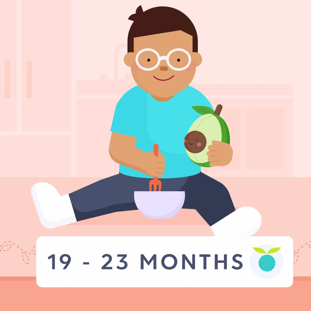 19 - 23 month olds feeding schedule