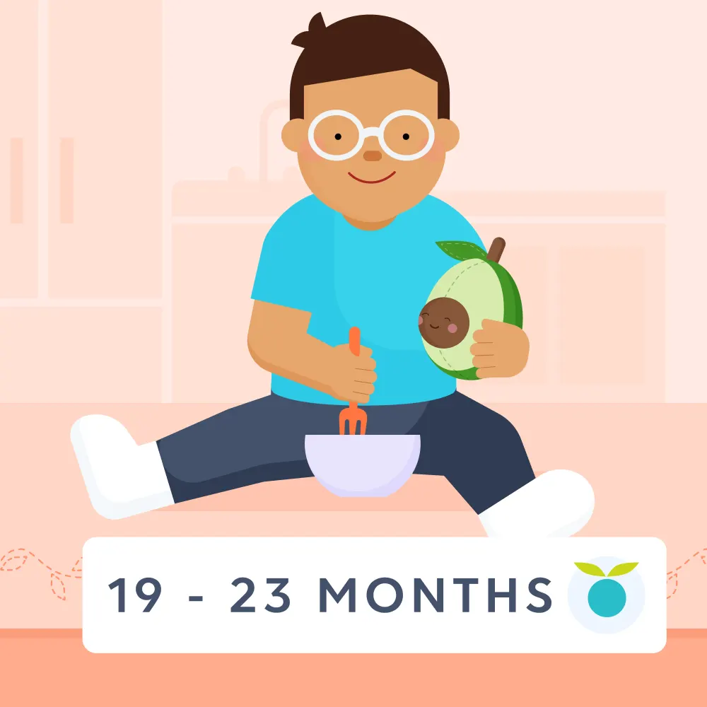 19 - 23 month olds feeding schedule