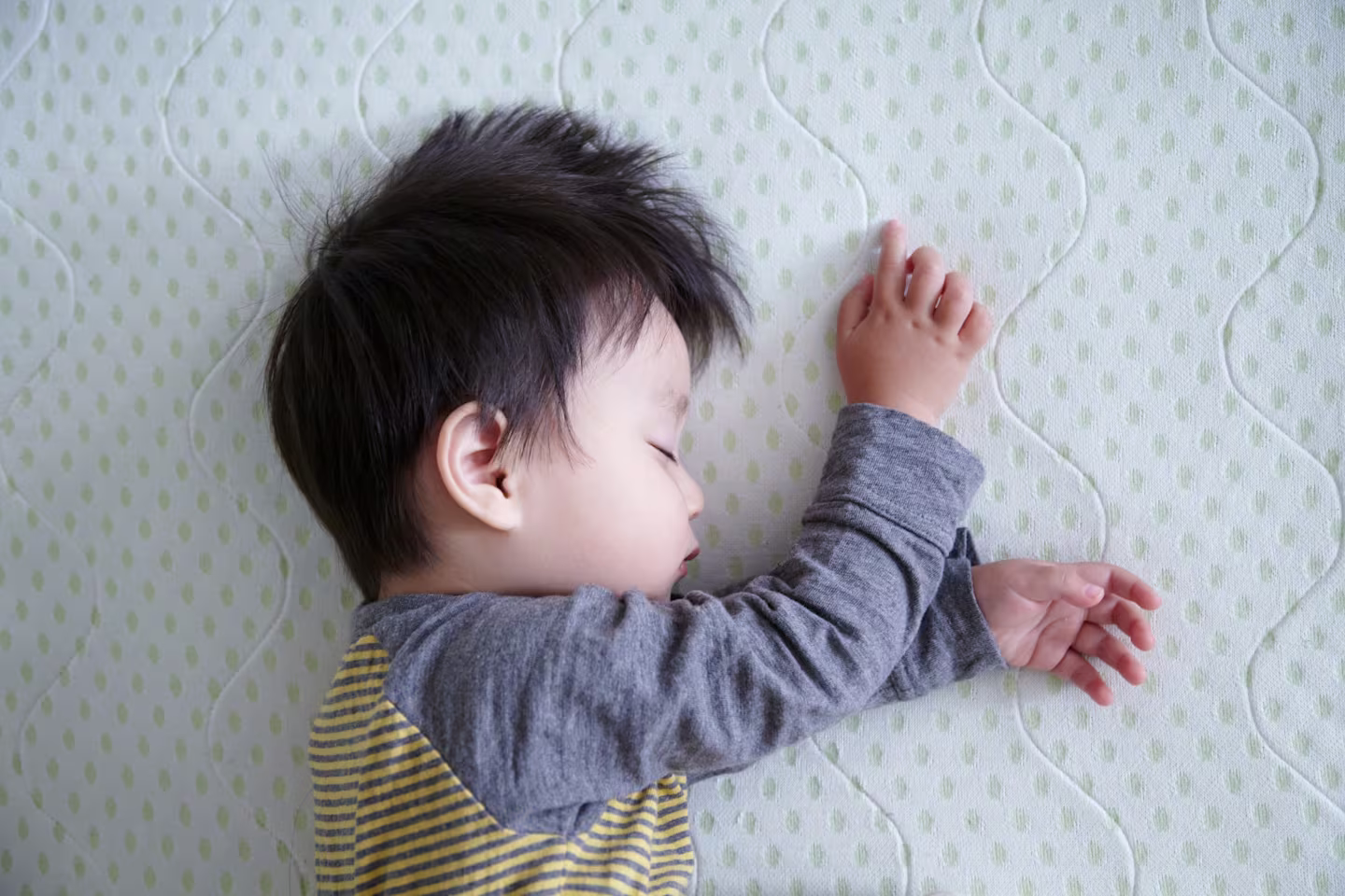 12 month daily nap schedule