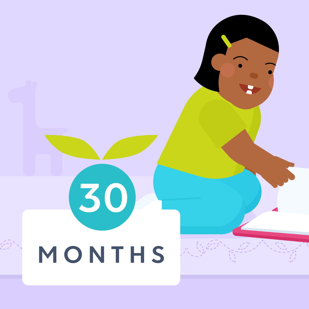 30 month milestones illustrated image