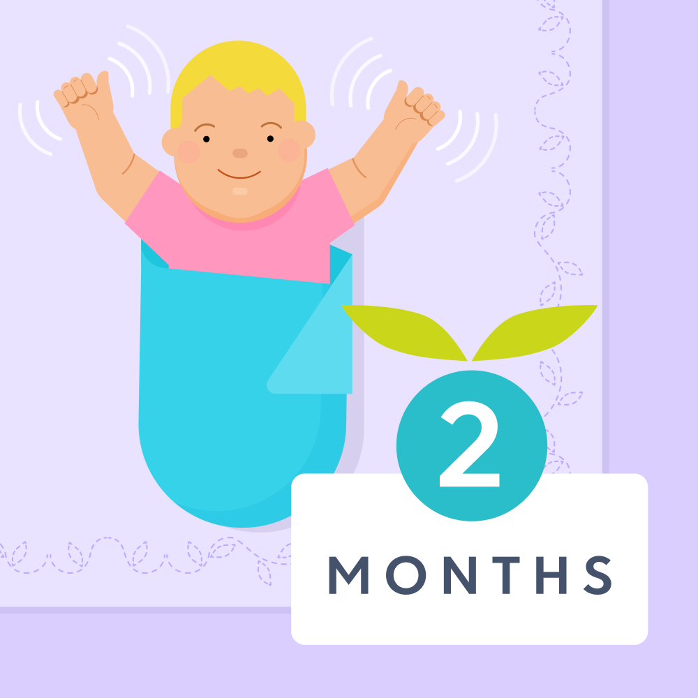 2 month old baby milestones illustrated image