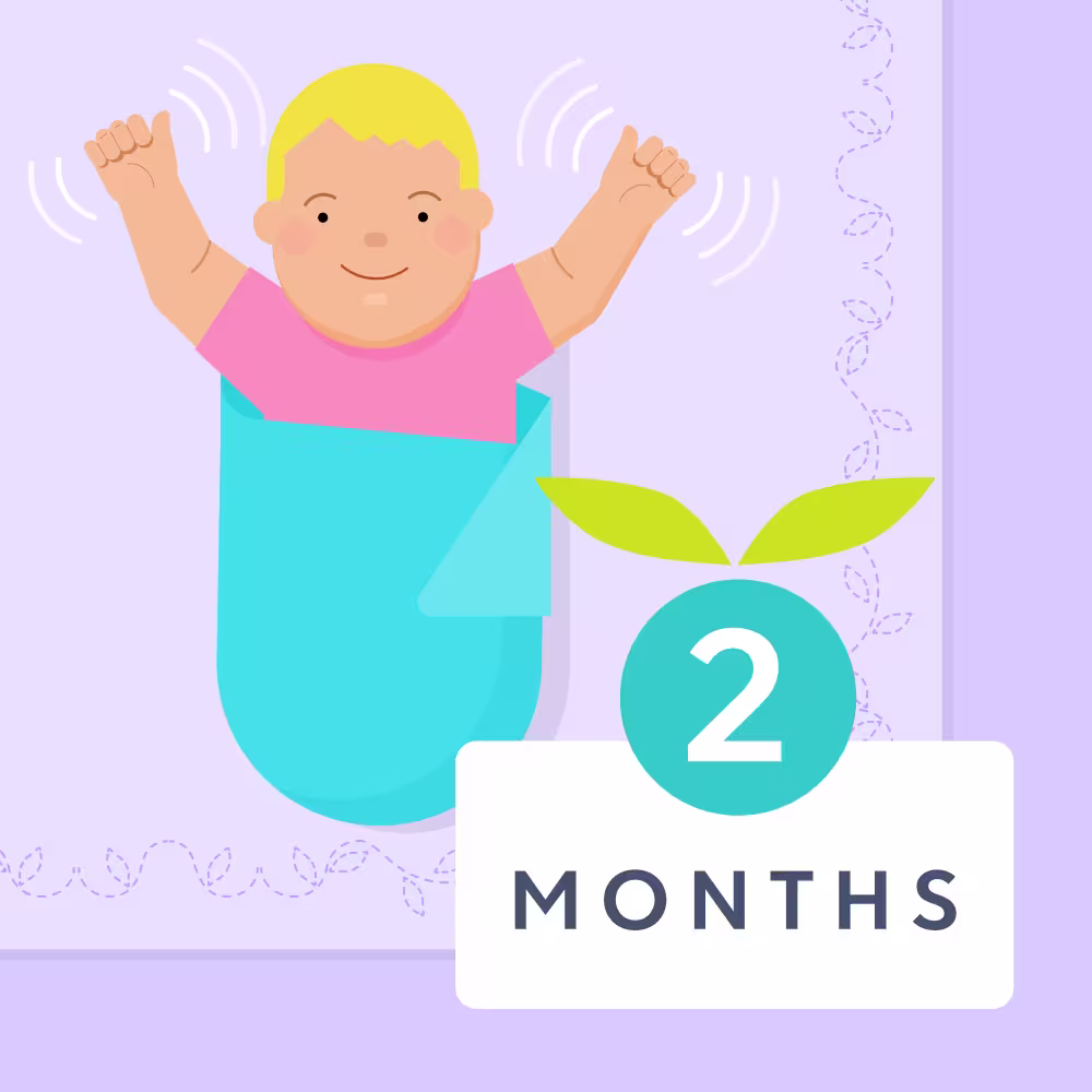2 month old baby milestones illustrated image