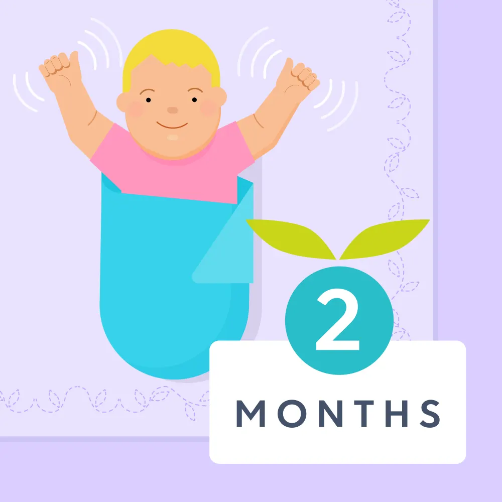2 month old baby milestones illustrated image