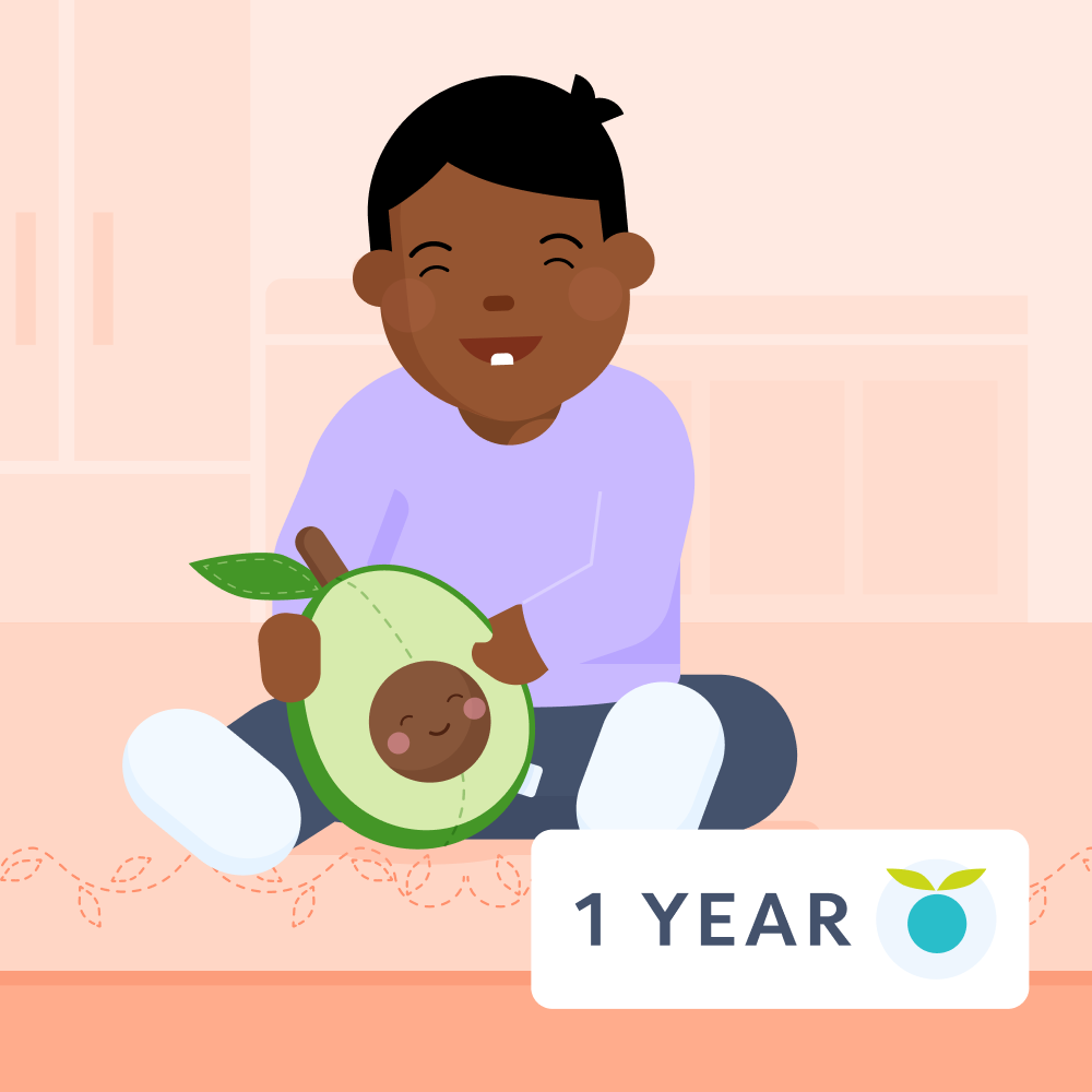 1 year/12 months feeding schedule