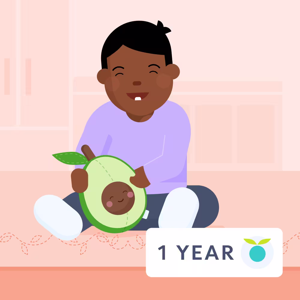 1 year/12 months feeding schedule