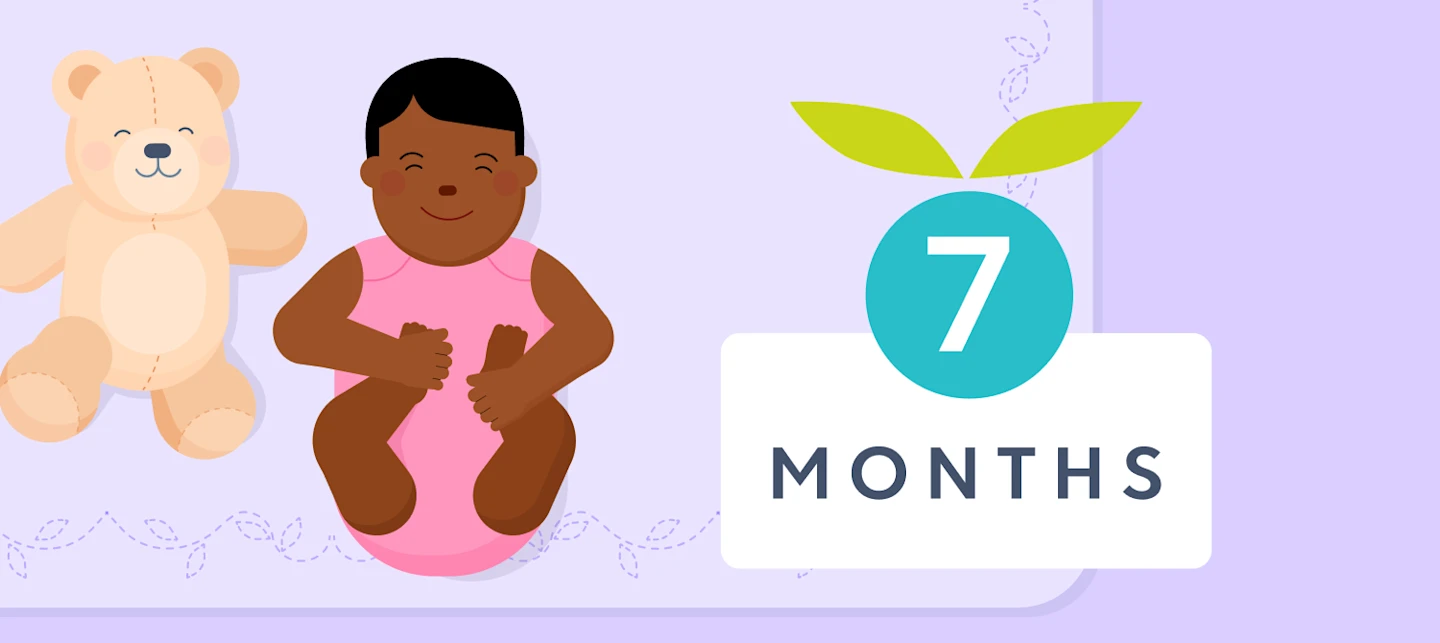 7 month milestones illustrated image | Huckleberry