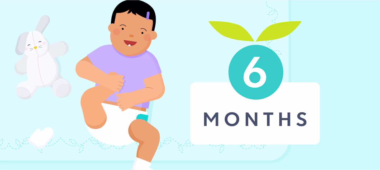 6 month sleep | Huckleberry