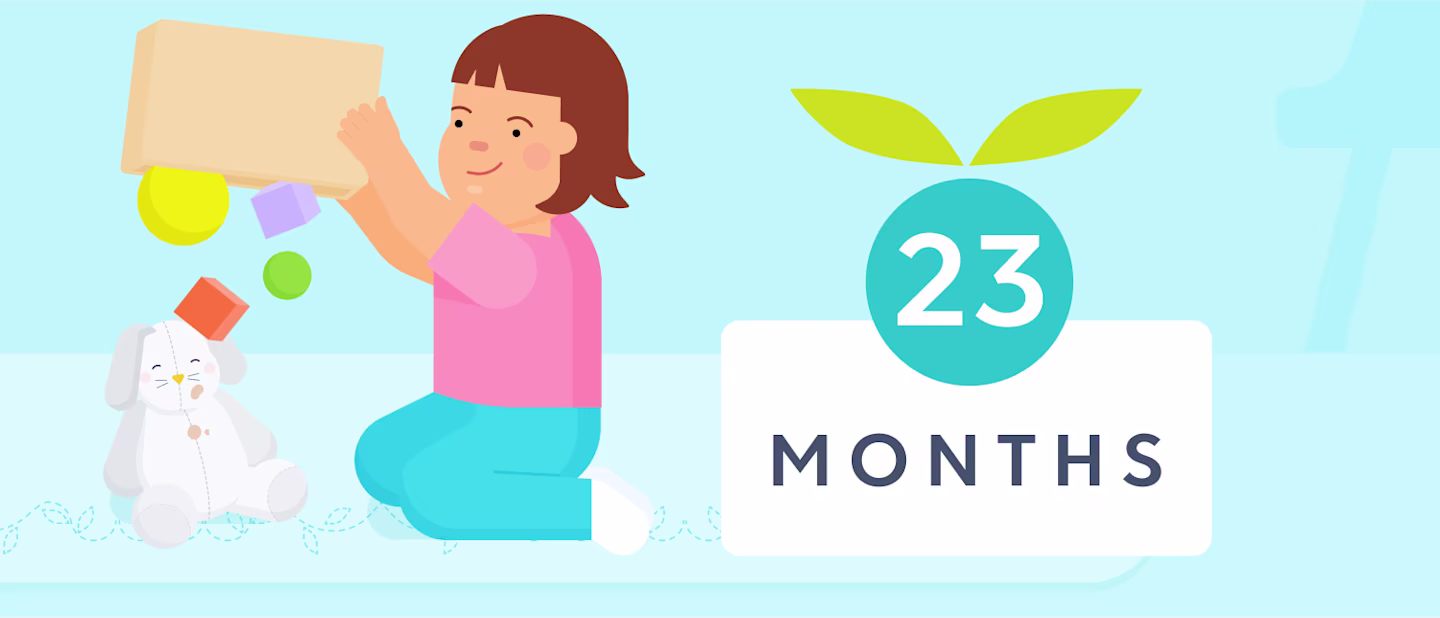 23 month sleep schedule | Huckleberry