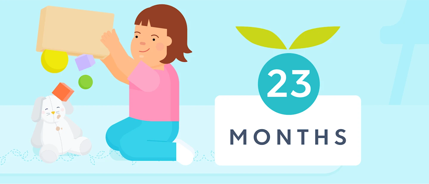 23 month sleep schedule | Huckleberry