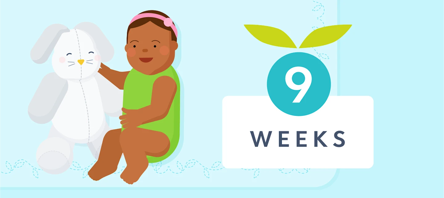 9 week sleep | Huckleberry