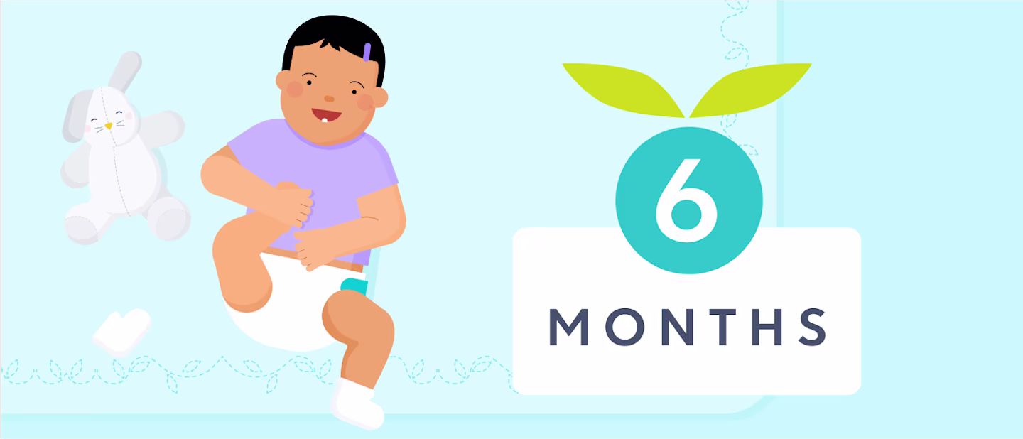 6 month sleep | Huckleberry