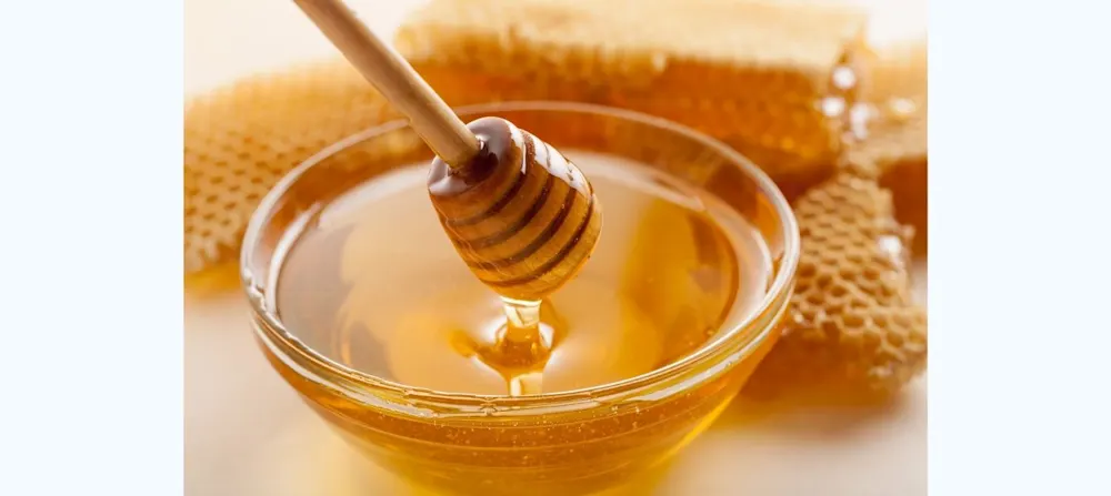 Honey in a bowl surrounded by honeycomb.