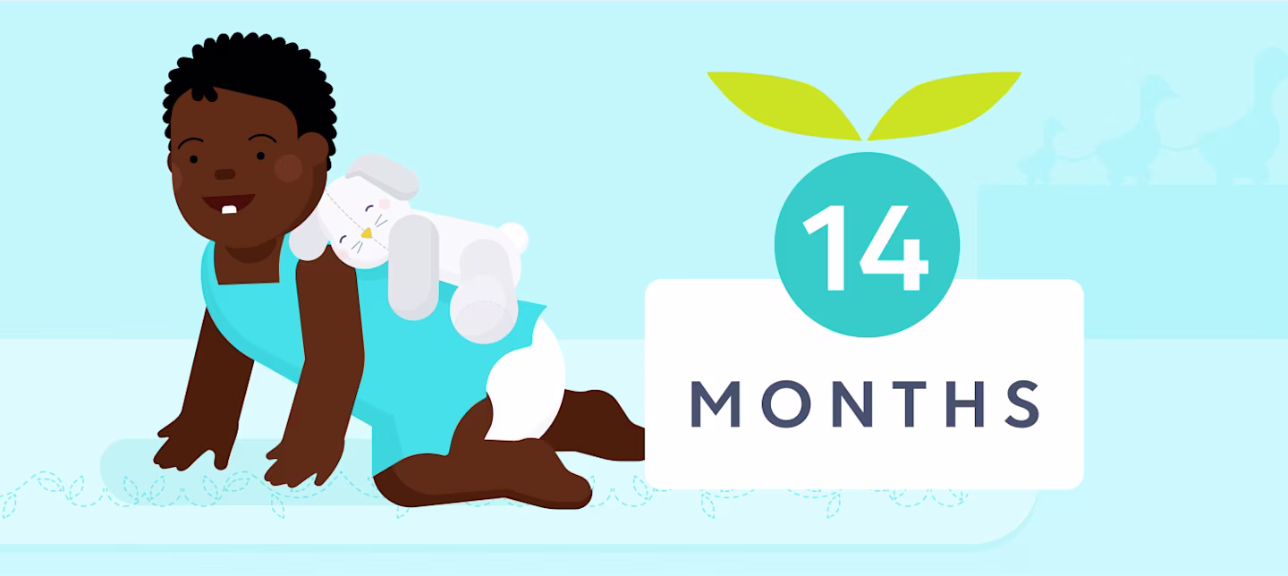 14 month sleep | Huckleberry