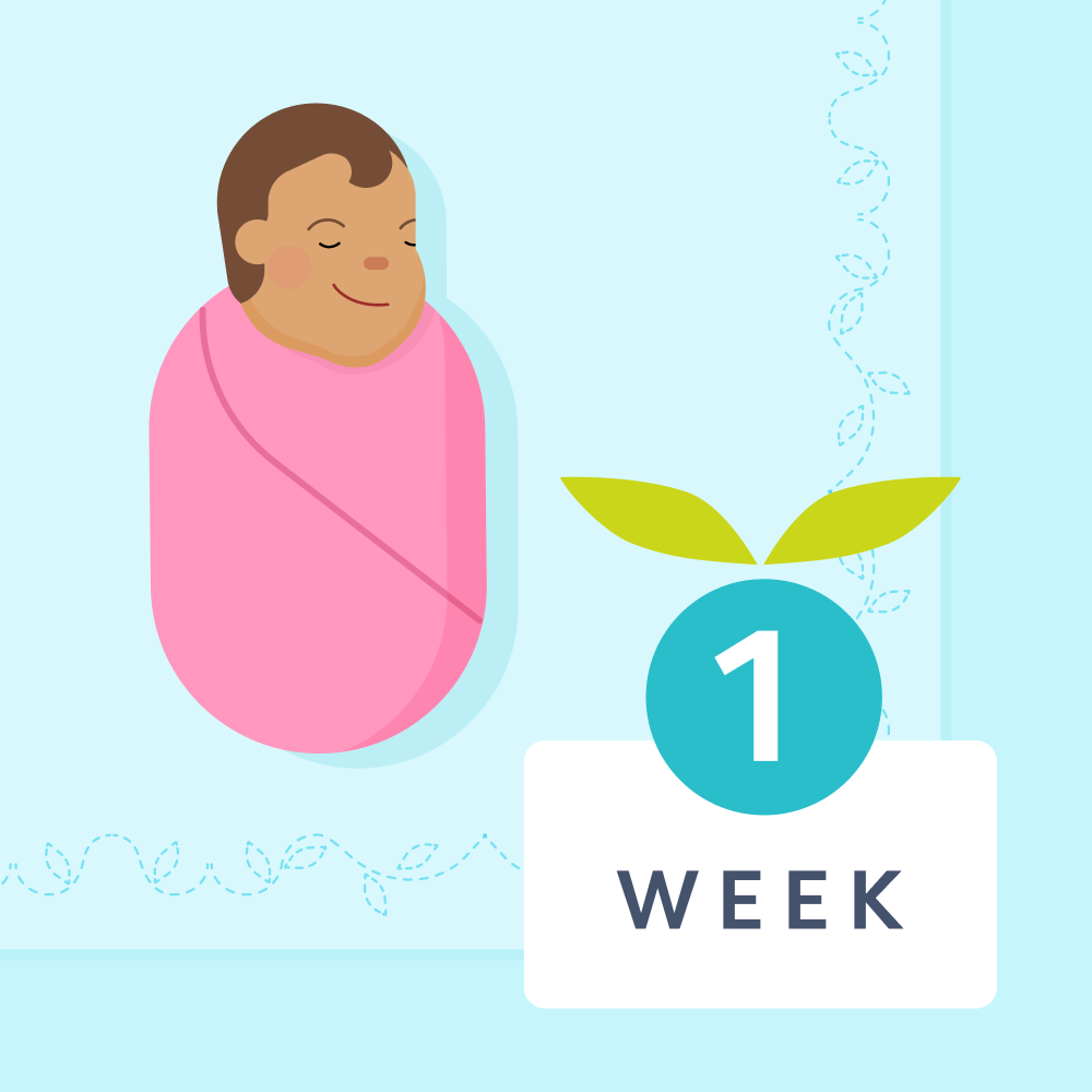 1 week sleep schedule