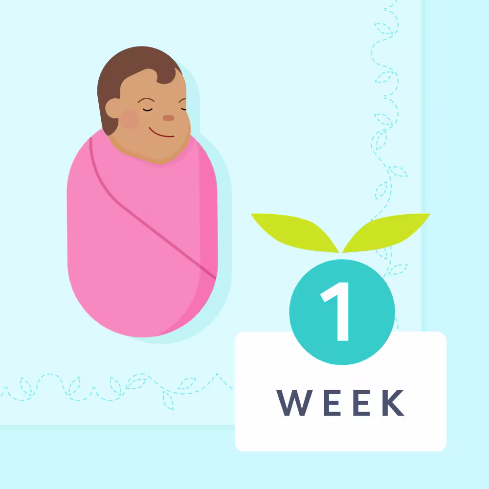 1 week sleep schedule