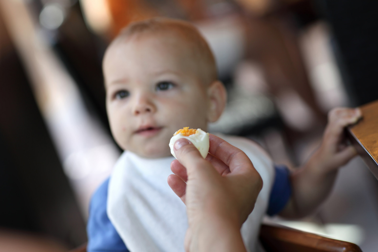 serving eggs to baby