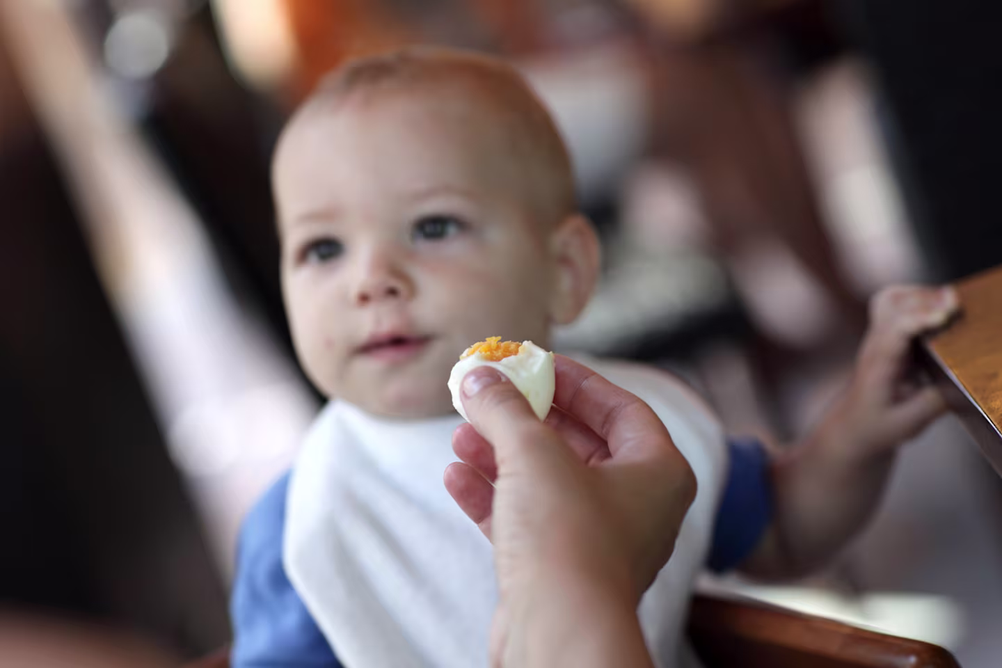 serving eggs to baby